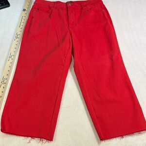 Judy Blue Vibrant Red Denim